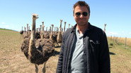 Episode 14: South Africa: Hidden Gems