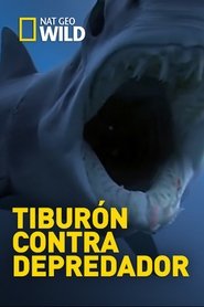Poster Shark Vs Predator 2017