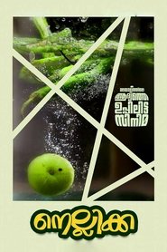 Poster Nellikka 2015