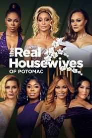 Poster The Real Housewives of Potomac - Season 7 2024