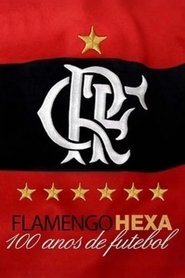 Poster Flamengo Hexa: 100 Anos de Futebol 2011
