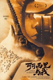 可可西里与我