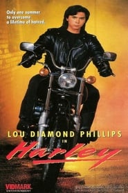 Poster Harley 1991