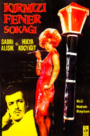 Poster Kırmızı Fener Sokağı