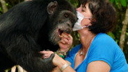 Episode 6: Estelle’s Favorite Chimp