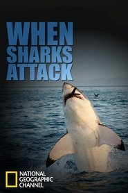 When Sharks Attack Season 1 Episode 2