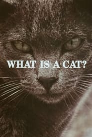 What Is a Cat? (1972)