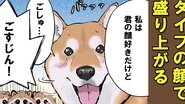Fox Shiba and Tanuki Shiba 1 / Fox Shiba and Tanuki Shiba 2 / Snow White and Kaguya