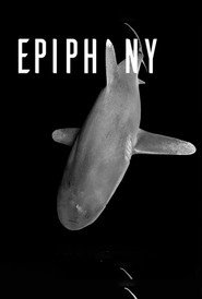 Epiphany постер