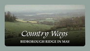 Bidborough Ridge in May