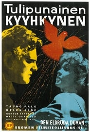 Poster Tulipunainen kyyhkynen