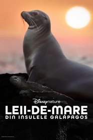 Leii-de-mare din Insulele Galápagos (2025)