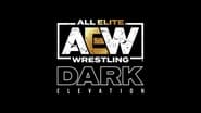 AEW Dark: Elevation en streaming