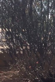 All Those Things (2017)