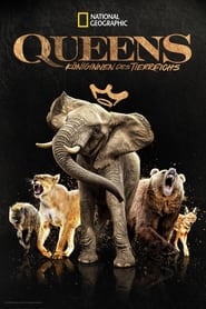 Queens – Königinnen des Tierreichs