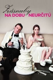 Zásnuby na dobu neurčitú (2012)