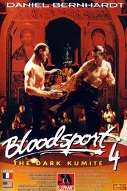 Voir Bloodsport 4, The Dark Kumite en streaming vf gratuit sur streamizseries.net site special Films streaming