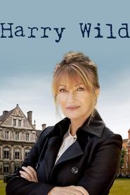 Harry Wild serie en streaming 