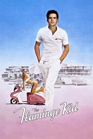 Poster van The Flamingo Kid