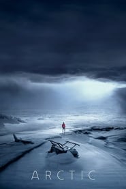 Arctic (2018) poster