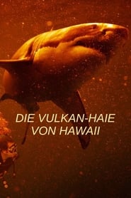 Poster Die Vulkan-Haie von Hawaii