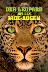 Poster Jade Eyed Leopard