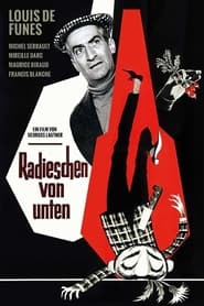 Poster Radieschen von unten