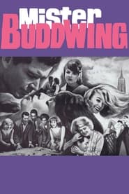 Poster Mister Buddwing 1966