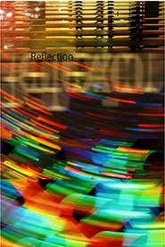 Poster Reflection 2013