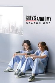 Grey's Anatomy - Season 1 Episode 1 : A Hard Day's Night