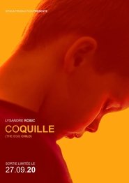 Coquille streaming