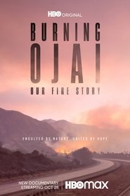 Burning Ojai: Our Fire Story (2020) Torrent