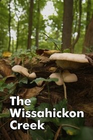 مشاهدة فيلم The Wissahickon Creek 2018 مترجم بجودة عالية