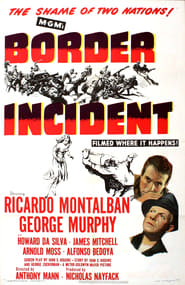 Border Incident постер