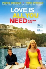 Love is all you need (2012)