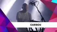 Caribou