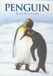 Penguin Baywatch Antarctica 2015