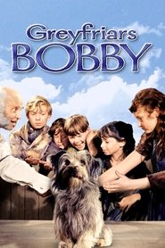Poster Greyfriars Bobby 1961