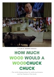 How Much Wood Would a Woodchuck Chuck streaming