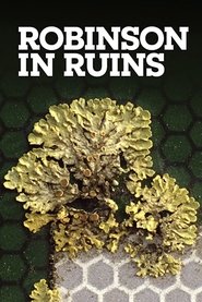 Poster Robinson in Ruins 2010