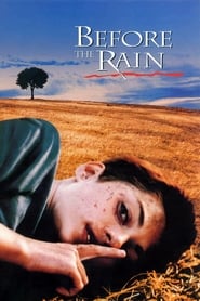 Vor dem Regen (1994)