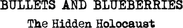 Bullets And Blueberries Logo