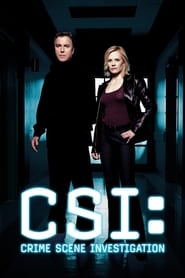 CSI: Місце злочину постер