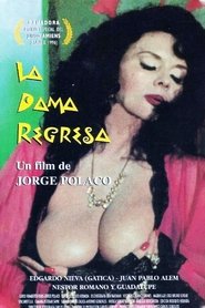 Poster La dama regresa