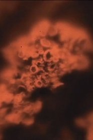 Poster Notes from the Farm 2015 Poster Notes from the Farm 2015