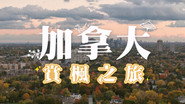 Episode 121