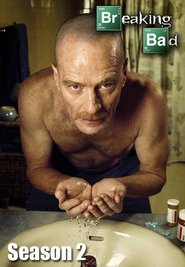 Breaking Bad (2009) Season 2 Complete English