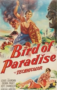 Bird of Paradise постер