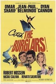 The Burglars постер