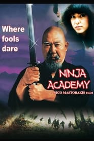 Ninja Academy постер